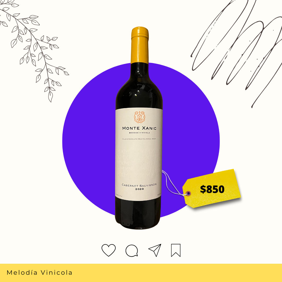 VIno tinto mexicano de alta gama - Monte Xanic