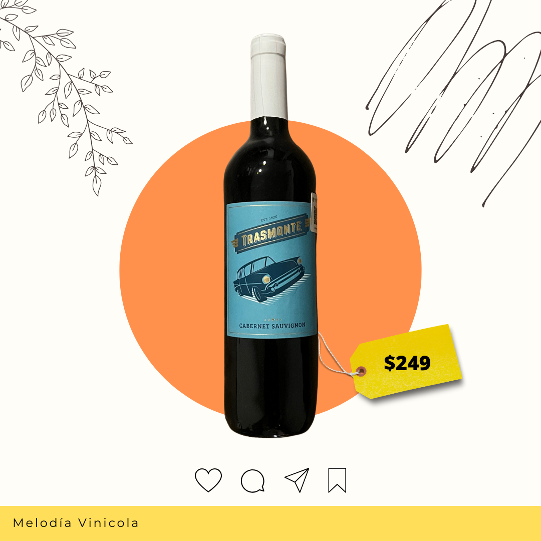 Vino tinto español de la zona de Navarra de baja importación - Trasmonte Cabernet