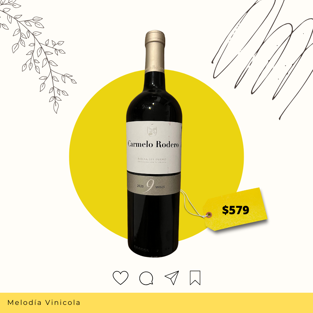 Vino tinto español de gran calidad - Carmelo rodero