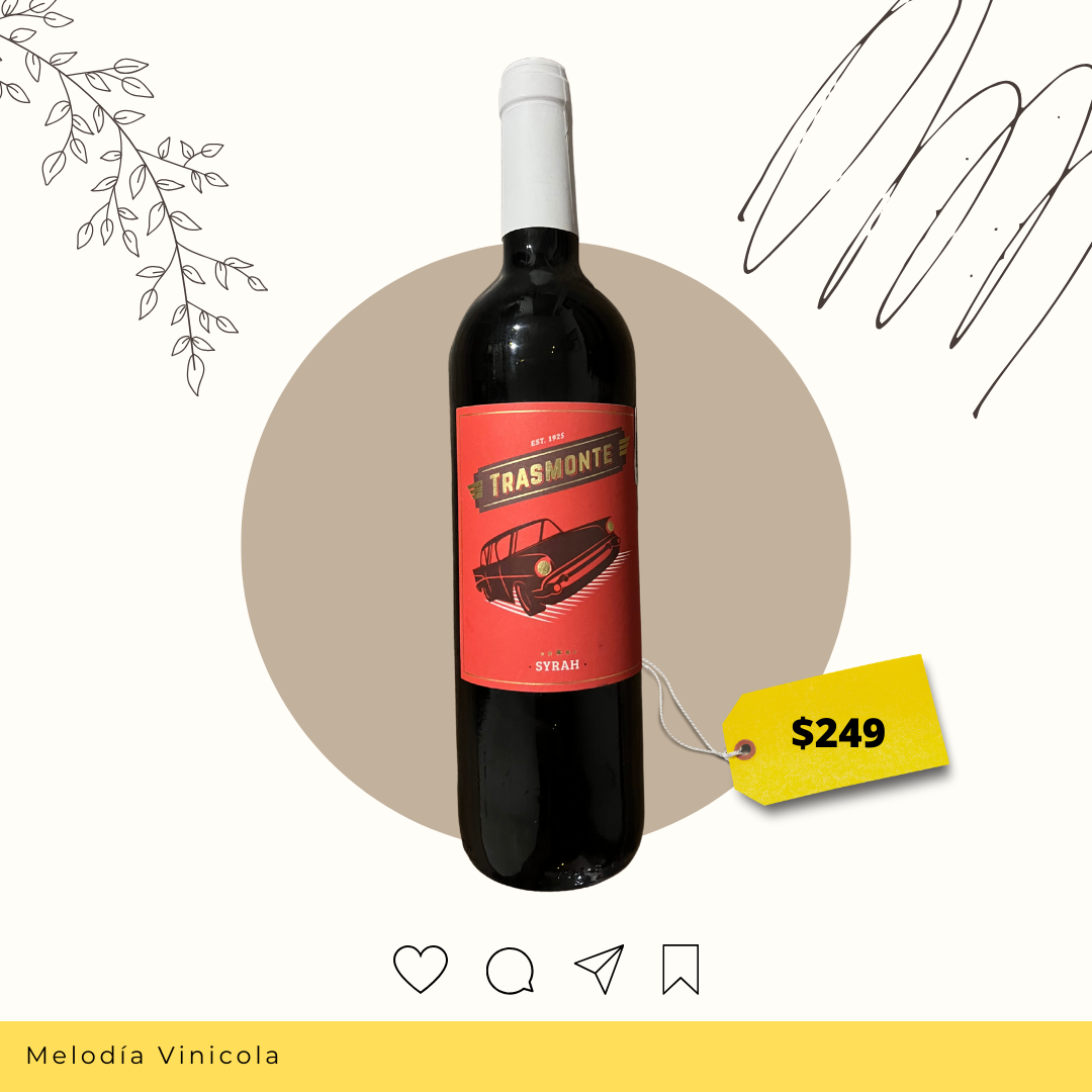 Vino tinto español de Navarra de baja importación - Trasmonte Syrah