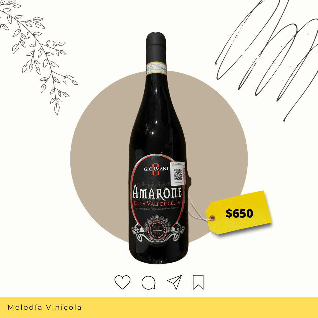Vino tinto italiano y elegante de la región de Valpolicella