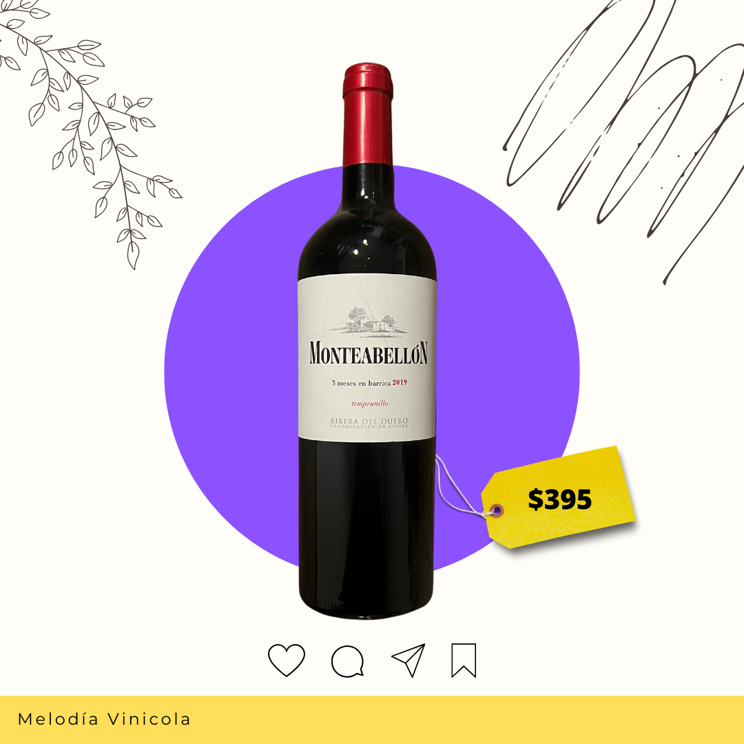 Vino tinto español con un equilibrio sorprendente - Monteaballon