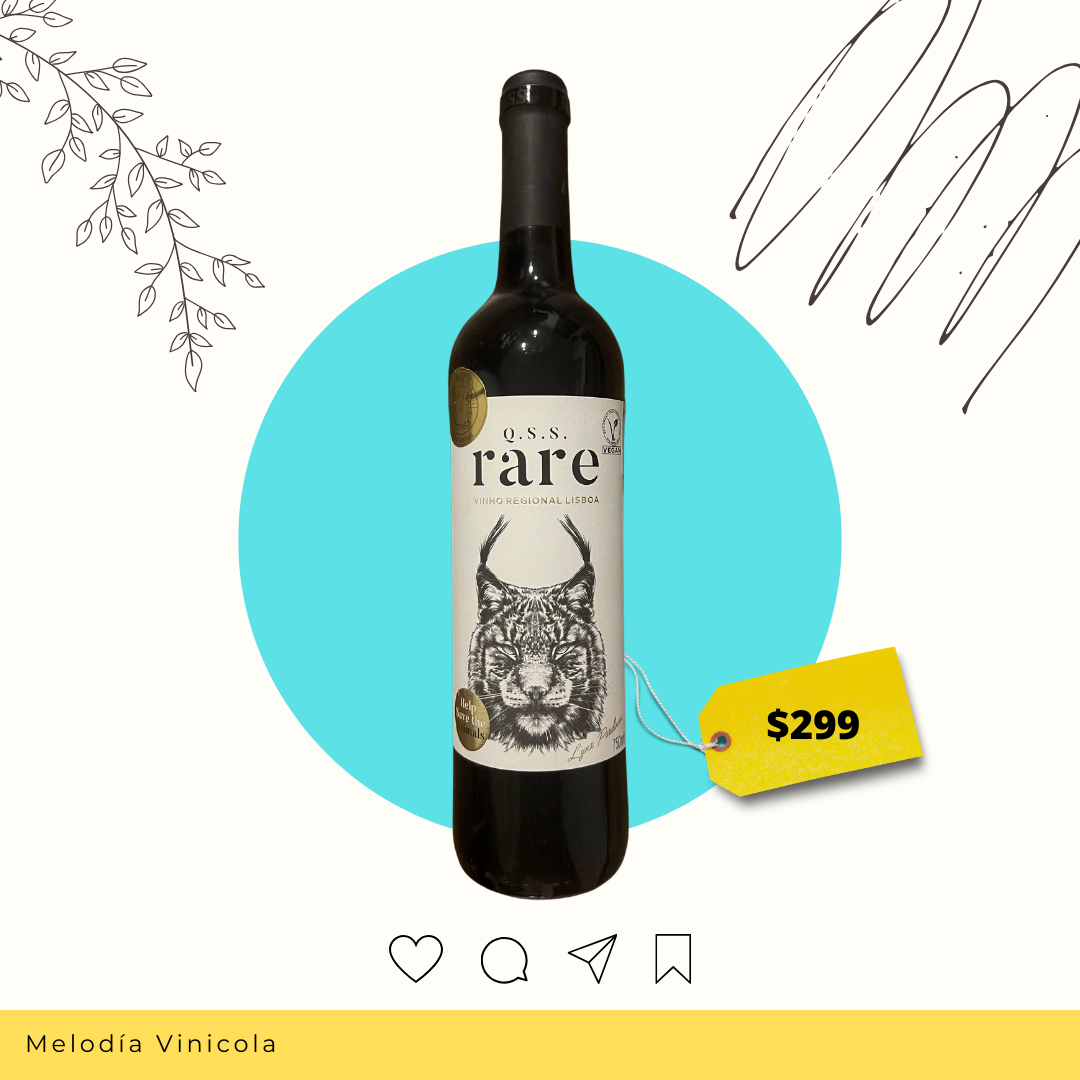 Vino tinto portugues de muy baja importación - Qss rare