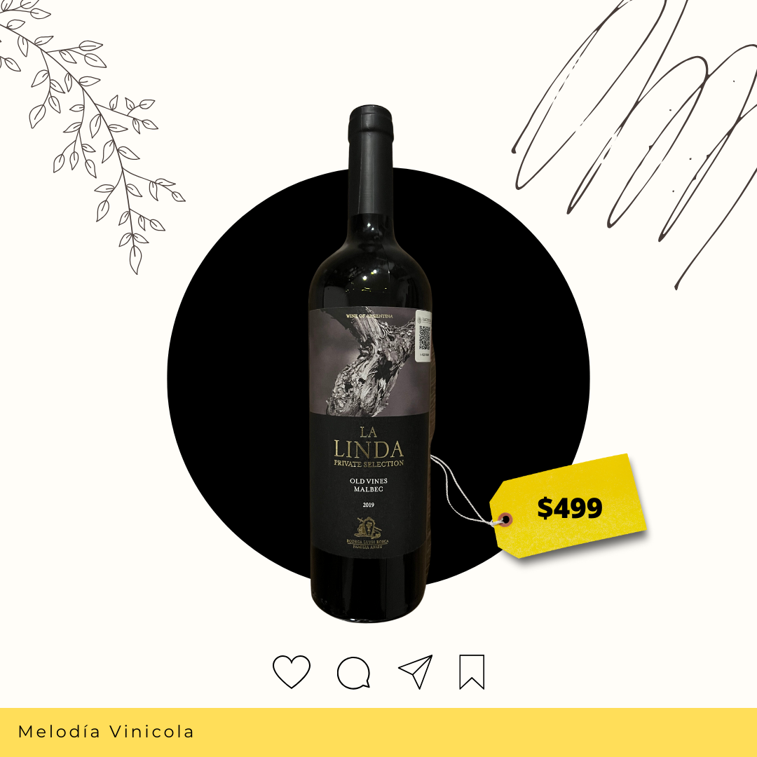 Vino tinto argentino ideal para asados - La linda old vines
