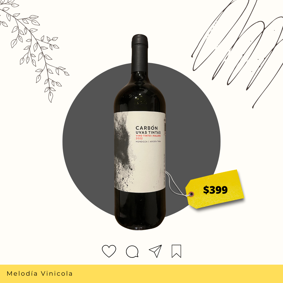 Vino tinto de uva Malbec tradicional argentino - Carbón uvas tintas