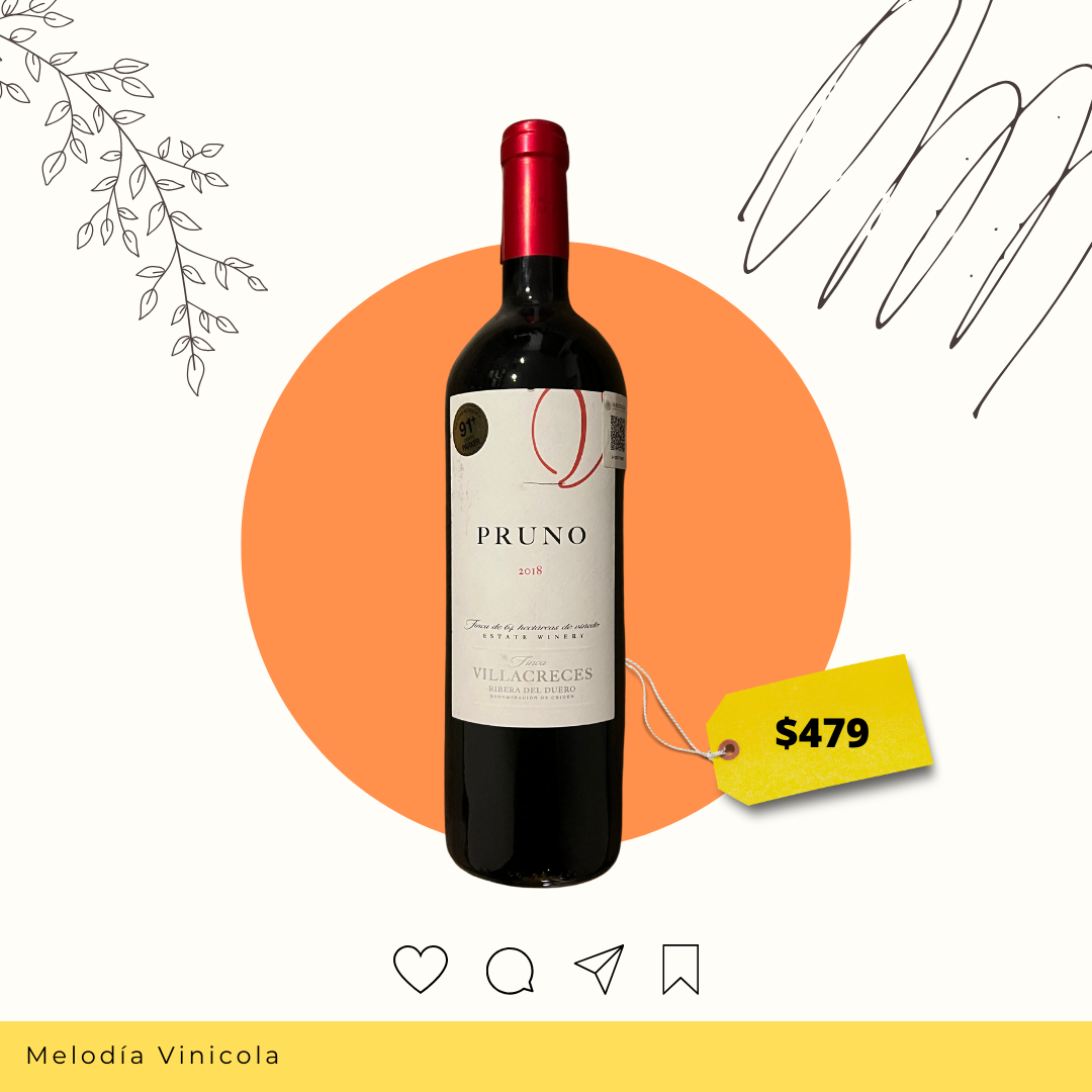 Vino tinto español de gran relación precio/calidad - Pruno