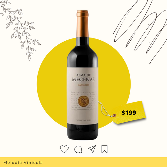 Garnacha tinta con el mejor balance precio / calidad