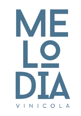 Melodía Vinicola by Trendia